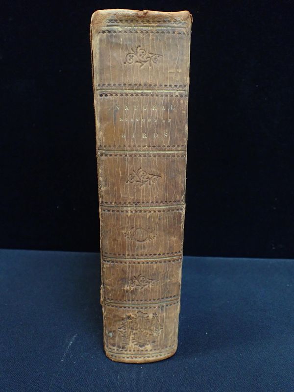 NATURAL HISTORY OF BIRDS