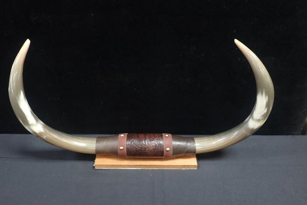 AN AMERICAN MOUNTED HORN AND LEATHER TROPHY