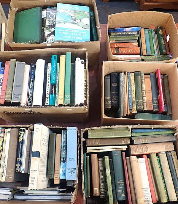 A COLLECTION OF BOOKS