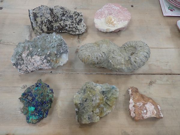 A COLLECTION OF MINERAL SAMPLES