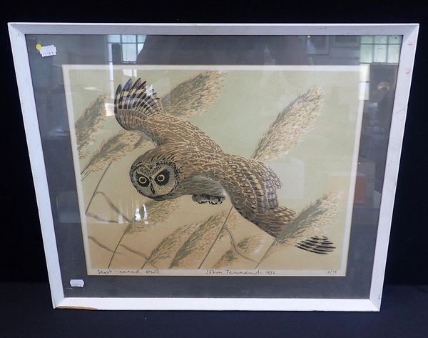 JOHN TENNENT: SHORT-EARED OWL