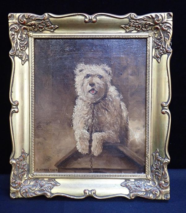 A. HARVEY: PORTRAIT OF A WHITE TERRIER DOG