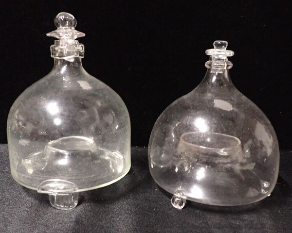 TWO SIMILAR 19th CENTURY GLASS WASP TRAPS