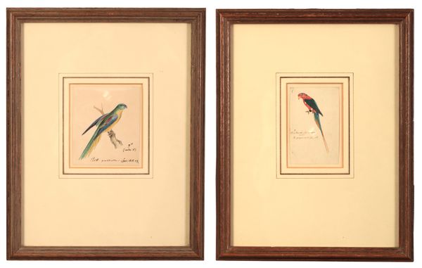 HEINRICH GOTTLEIB LUDWIG REICHENBACH (1793-1879) A pair of ornithological studies of parrots,