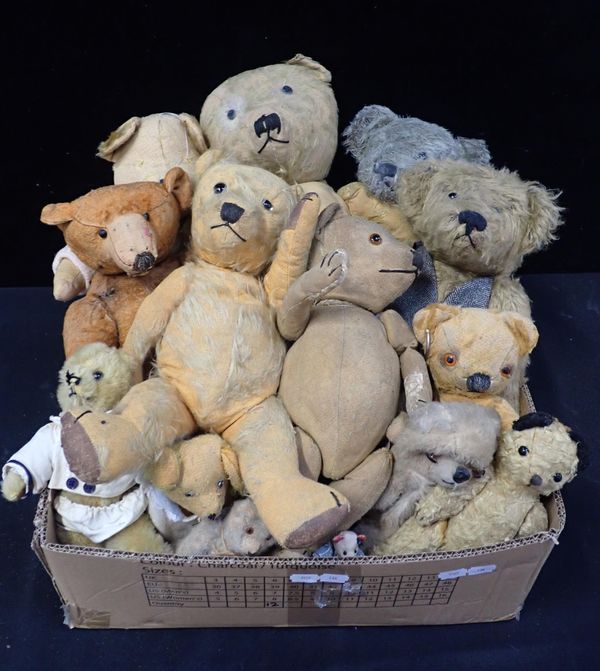 A COLLECTION OF BEARS