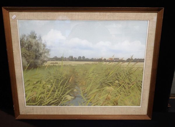 BRIAN C DAY, A NORFOLK LANDSCAPE