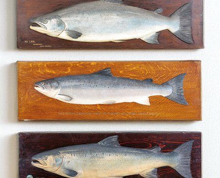 Sporting and Natural History