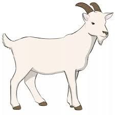 Goat Painting