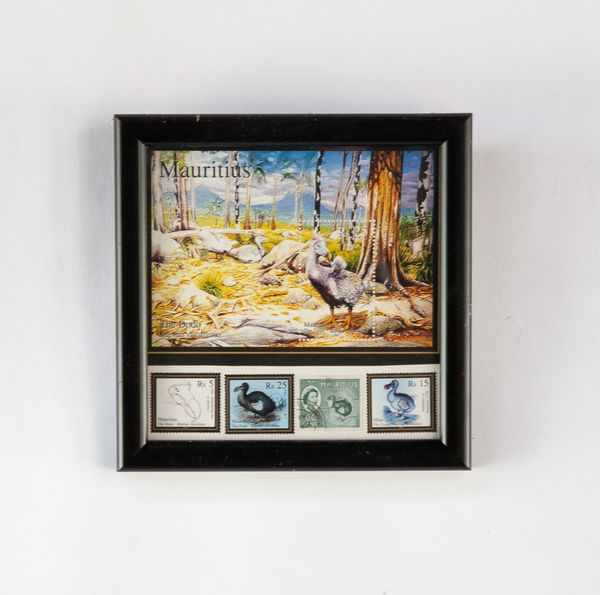 Mauritian stamps and postcard