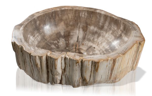 Two fossil wood basins