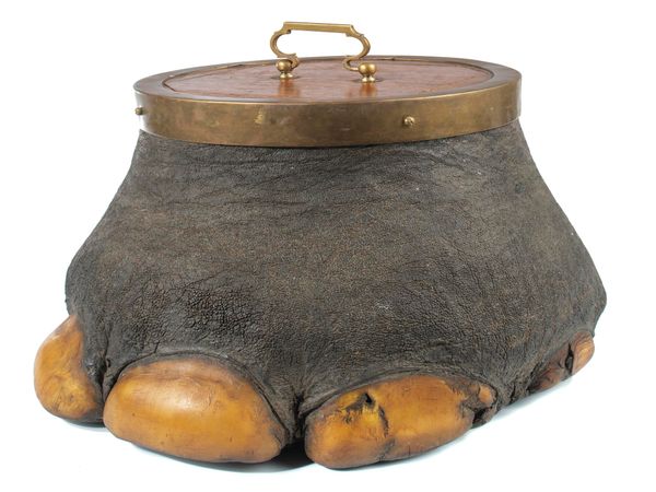 Rowland Ward: An elephant foot tea caddy with label to lid 28cm high