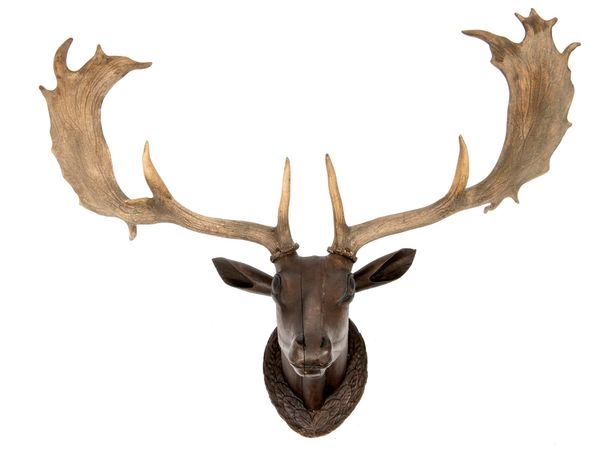 A carved fallow deer head probably German, circa 1880 71cm by 102cm