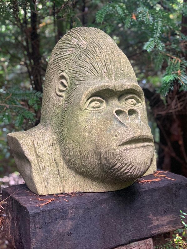 Ed Harrison Gorilla bust  carved bath stone 46cm high by 47cm wide by 40cm deep