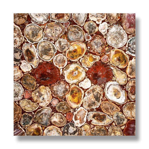 A fossil wood collage tabletop Madagascar 61cm square