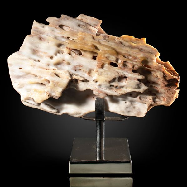 An agatised fossil wood on stand overall 28cm high by 32cm wide