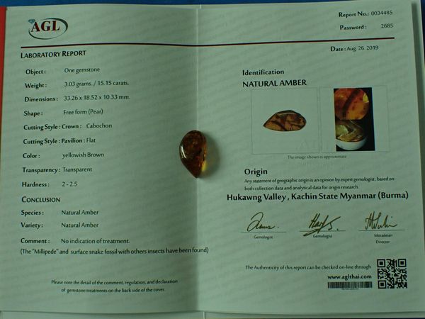 A Burmite amber fossil specimen containing snake and millipede remains, as well as other insects and organic inclusions  Hukawng Valley, Myanmar...