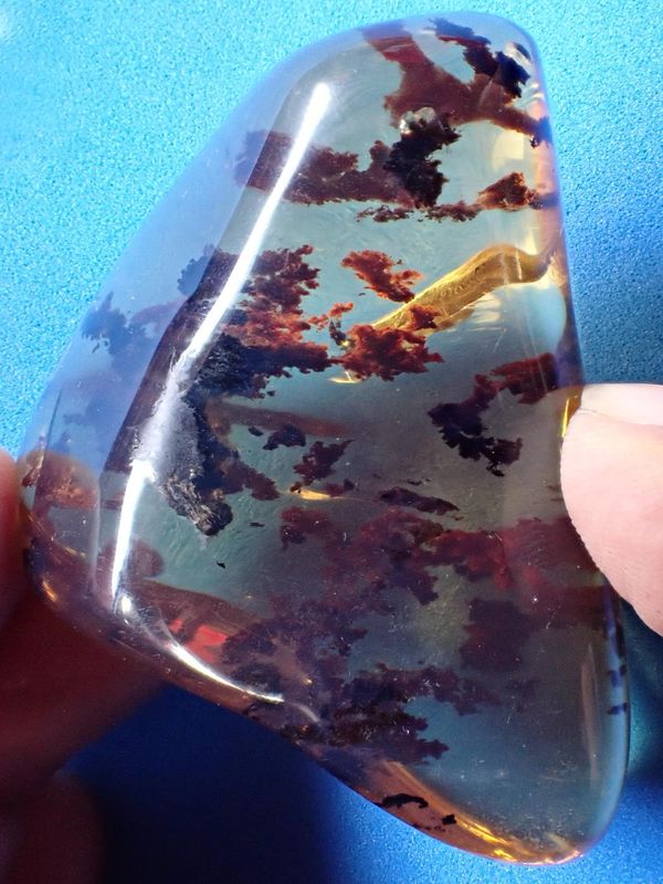 A Burmite amber fossil specimen containing well preserved and highly transparent lichen or mosses with original pigment, giving beautiful colours to...