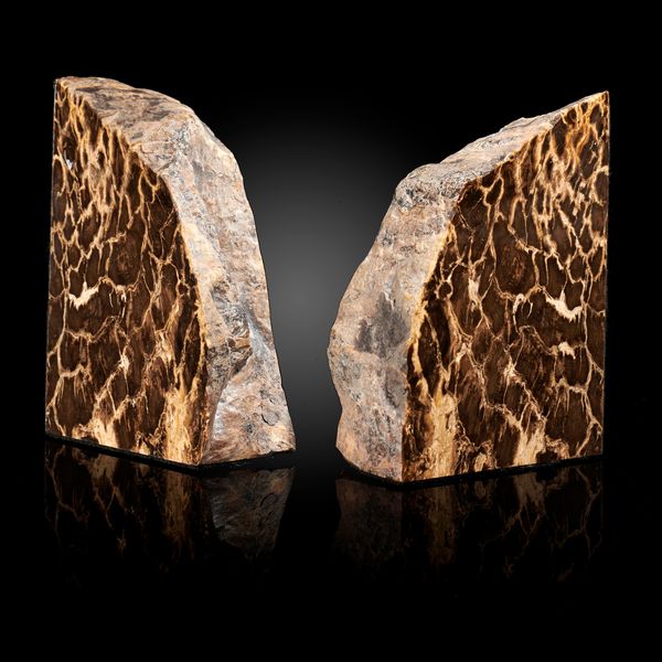 An unusual pair of fossil wood bookends made from Pentoxylon tree wood Permian, Australia 15cm high 