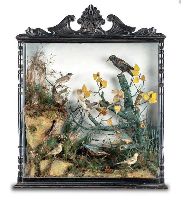 A Victorian mixed case of British birds  circa 1870 96cm high by 79cm wide