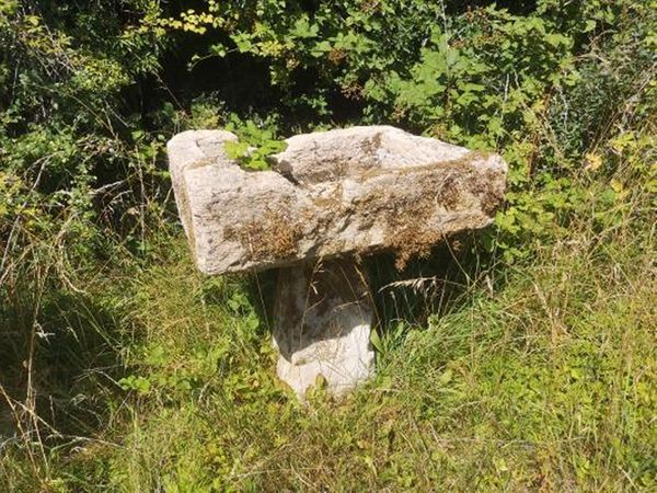 A carved rectangular stone trough raised up on staddlestone base 84cm high by 91cm long
