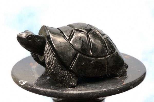 Timothy Rukodzi Tortoise Springstone Unique 14cm high by 28cm wide by 28cm deep