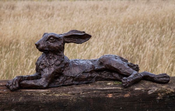 ▲ John Cox, (born 1941) Laying Hare Sculpture bronze Foundry stamped 23cm high by 65cm wide by 29cm deep