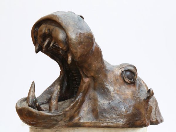 Rupert Merton Hippopotamus Head Bronze 18cm high by 41cm wide by 28cm deep