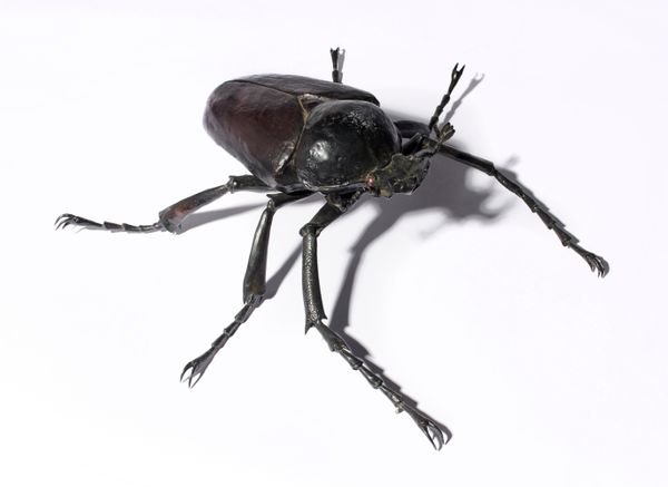 An unusual bronze stag beetle late 20th century dark brown and red patination 47cm long