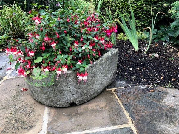 A stone bow front trough 27cm high by 56cm long by 58cm deep (Flowers not included)