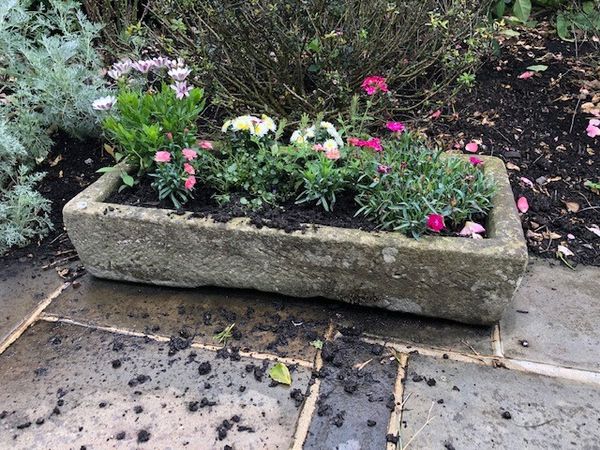A carved stone trough 19cm high by 41cm wide by 91cm long (Flowers not included)