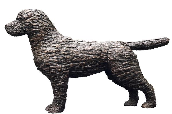 Jacob Edward Mufty Bark Bronze Edition 2 of 9 78cm high by 30cm wide by 110cm deep
