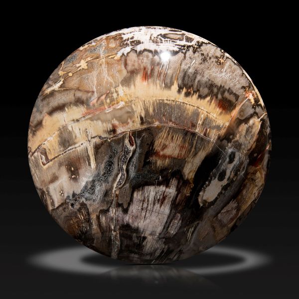A fossil wood sphere Madagascar, Triassic, 225mya 23cm diameter, 18.7kg