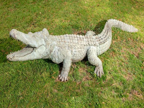 A large bronze crocodile modern 295cm long