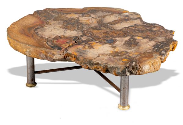 A fossil wood table