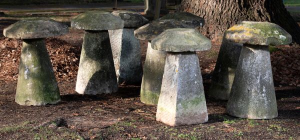 A set of eight staddlestones including six circular tapering ones and two with tapering square bases, one lacking top 