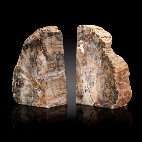 A pair of fossil wood bookends Madagascar, Permian 15cm high 