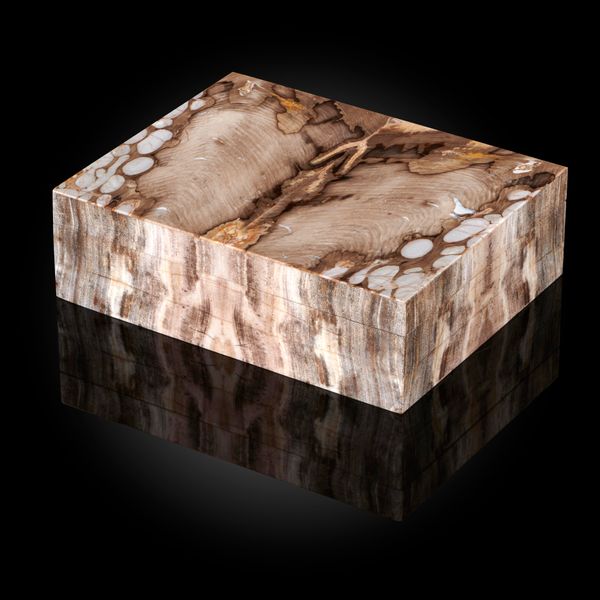A superb fossil wood veneered box  16cm by 12.5cm