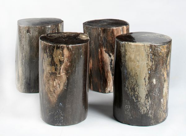 Four fossil wood stools 40cm high
