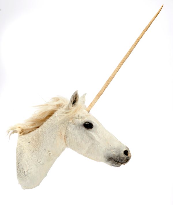 A |Unicorn| head modern 120cm high