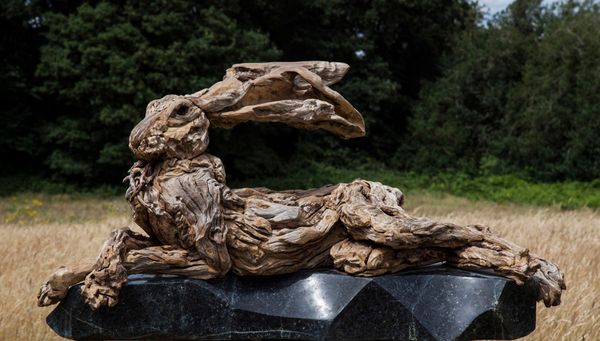 James Dorran-Webb A Good Bask Driftwood on marble plinth Signed Unique 62cm high by 92cm wide by 40cm deep