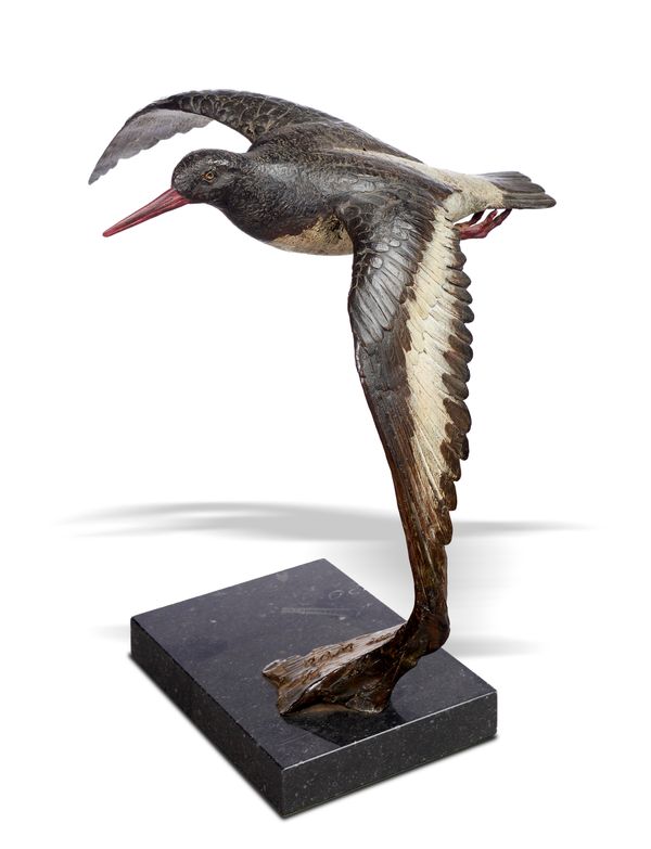 &#9650; Hamish Mackie Oyster Catcher Bronze on fossil marble base Polychrome naturalistic patina signed HAM 2006 2/12 53cm high Hamish Mackie (born...