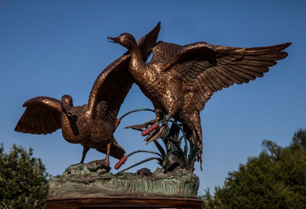 Ducks in Bulrushes Bronze 89cm high by 123cm wide by 105cm deep