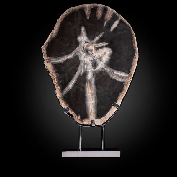 A fossil wood slice on stand Java, Indonesia, Miocene  70cm overall