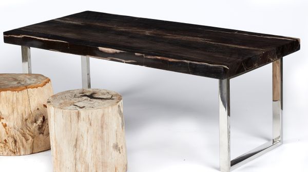 A fossil wood table on modern metal base Java, Indonesia, Miocene  119cm by 58cm