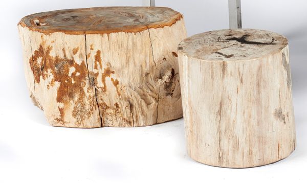 A pair of fossil wood stools Java, Indonesia, Miocene  