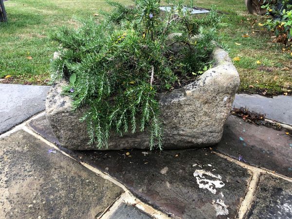 A carved stone trough 32cm high by 59cm wide by 36cm deep (plants not included) From the personal collection of Tim Wonnacott.  See lot 400 for...