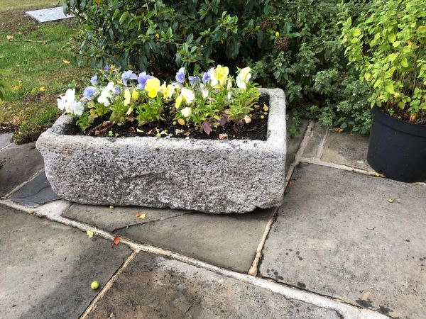 A carved stone trough 24cm high by 70cm wide by 41cm deep (plants not included) From the personal collection of Tim Wonnacott.  See lot 400 for...