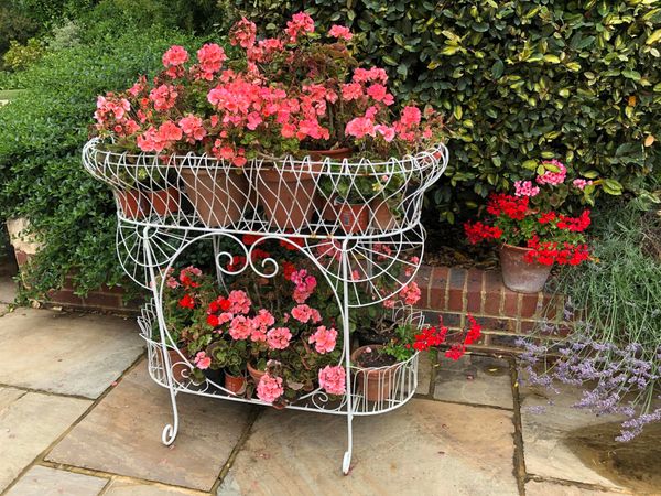 An Edwardian wirework plant stand early 20th century 112cm wide From the personal collection of Tim Wonnacott.  See lot 400 for further information.