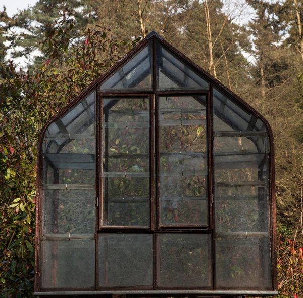 A small iron framed greenhouse 20th century with twin doors opening to one side and shelves within, all on a zinc covered wooden base and...