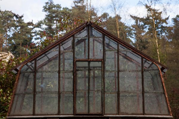 An iron framed small greenhouse 20th century with lifting roof sections to either end and access door to one side, all on a zinc covered wooden base,...